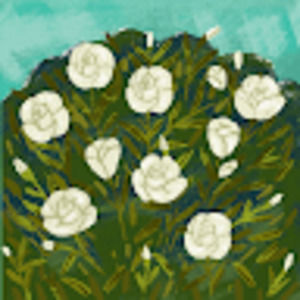 Meet your Posher, Annie